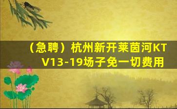 长沙酒吧招聘